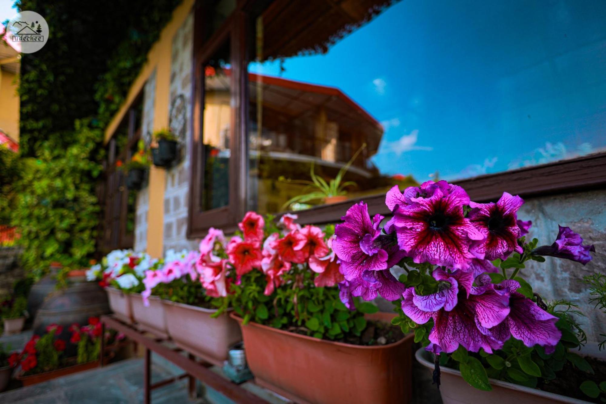 Hotel Udechee Huts, Mcleod Ganj Exterior photo