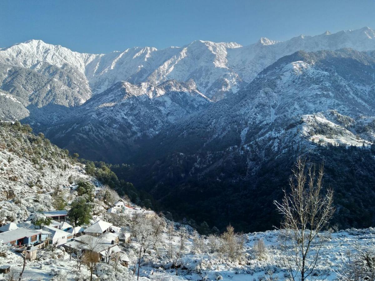 Hotel Udechee Huts, Mcleod Ganj Exterior photo